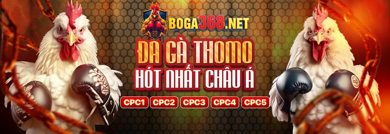 Ứng dụng di động 78sing